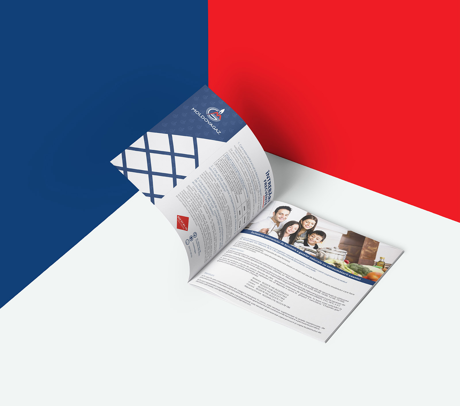Moldovagaz brochure, Purple Portfolio