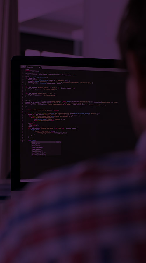 development purple site-uri magazine online landing page hosting servere
