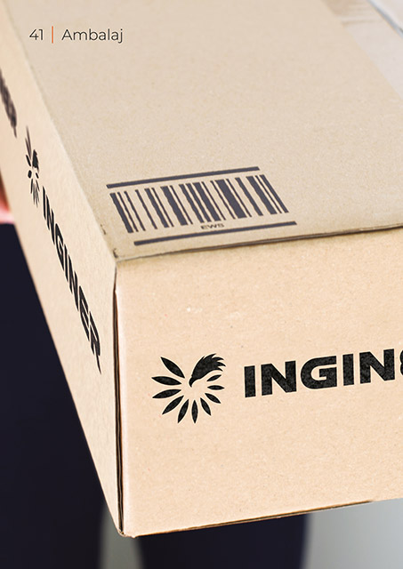 Inginer BrandBook Ambalaj