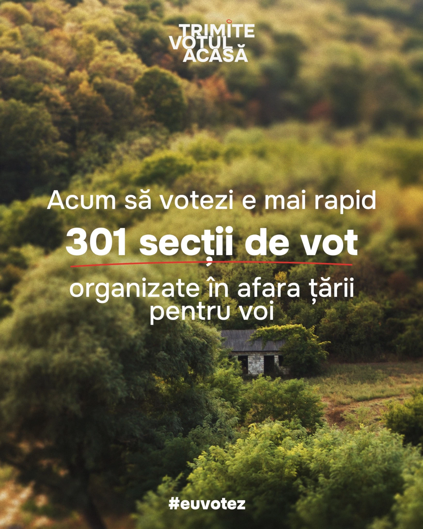 Vizual Euvotez 5